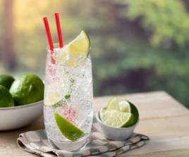 Fresh Lime